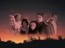 The Cullens (and Swan)