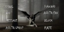 hawk