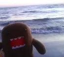 Domo in the beach!