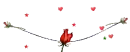 rose divider