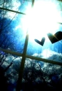 heart window