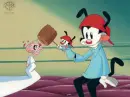 Wakko