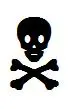 Skull.