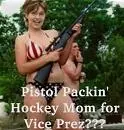 palin