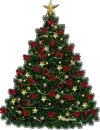 sapin