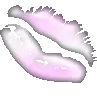 Baby pink kiss