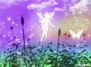 fairy land 2