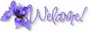 Welcome 