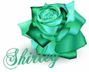 Shirley