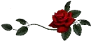 love heart