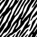 zeeeebra