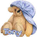 Teddy Hat Rest, Tony