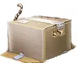 Meow Box