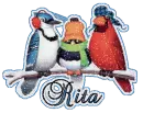 Rita