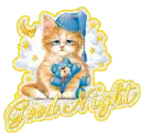 Good Night~Kitten