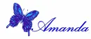 Amanda butterfly