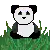pandaness :)