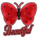 Beautiful