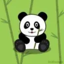 green panda cute