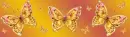 butterflys