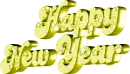 happy new year