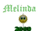 melinda's 2009 ball