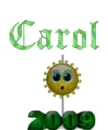 carol's 2009 ball