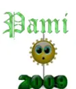 pami's 2009 ball