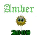 amber's 2009 ball