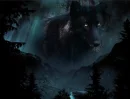 WOLF ON THE SKY