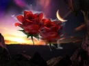 ROSE IN THE NIGHT