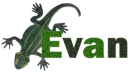 Little Lizard-Evan