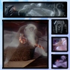 Zero, Jack's Ghost Dog