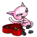 Pink Kadoatie