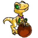 Tropical Niptor