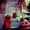 red flowers