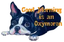Good Morning is an Oxymoron