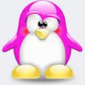Smaller Girly Penguin