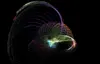 Fractal-11