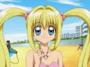 Luchia