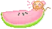 watery melon