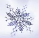 from msn spaces