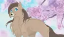 My Wolf Form