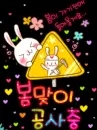 cutie rabbit