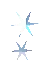 Silver Star or Snowflake Group