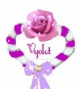 Vyolet