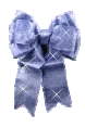 Blue bow