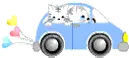 Cat's Car  hahahahaha =)