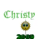 christy's 2009 ball