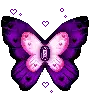 purple butterfly